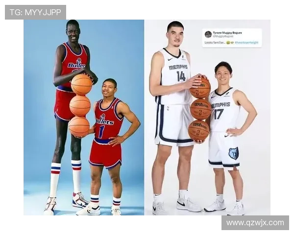 NBA球员身高排名榜（历年对比）